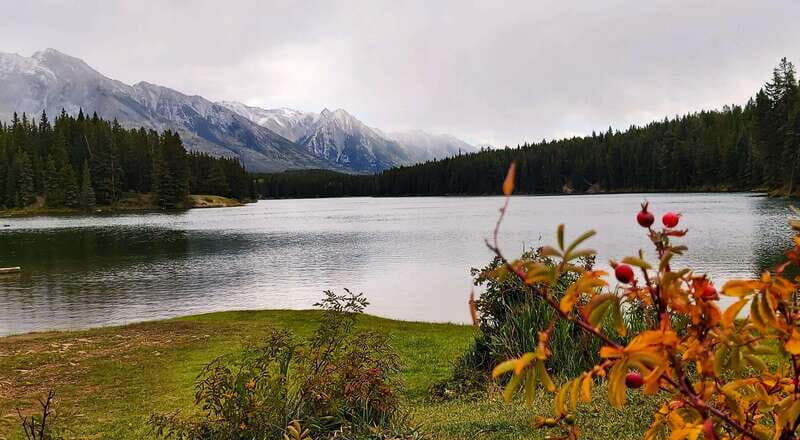Banff National Park: Full-Day Adventure - Who Will Love This Tour?