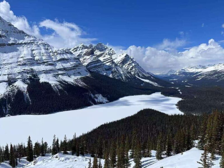 Banff National Park: Lake Louise & Upper Hot Springs Tour - The Practical Side: What’s Included and What’s Not