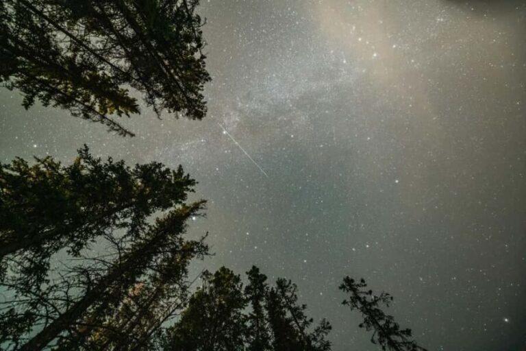 Banff National Park Sunset and Stars Walking Tour - The Itinerary: What to Expect