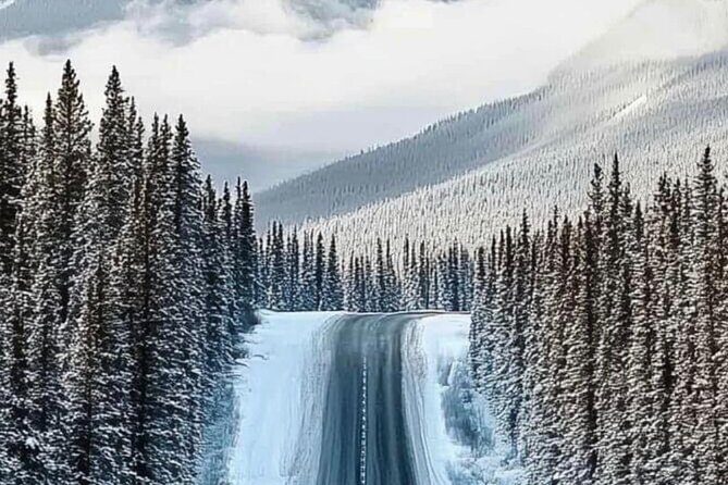 Banff National Park to Calgary Private Transportation - Final Thoughts