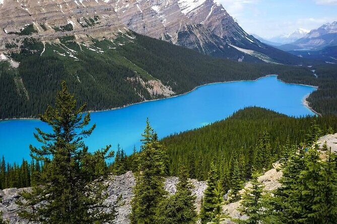 Banff to Columbia Icefield and Peyto Lake with Crowfoot Glacier - Who Should Consider This Tour?