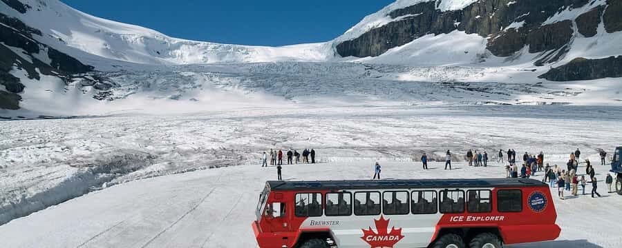 Banff:Crowfoot Glacier, 4 Lakes and Johnston Canyon tour - What makes this tour stand out?