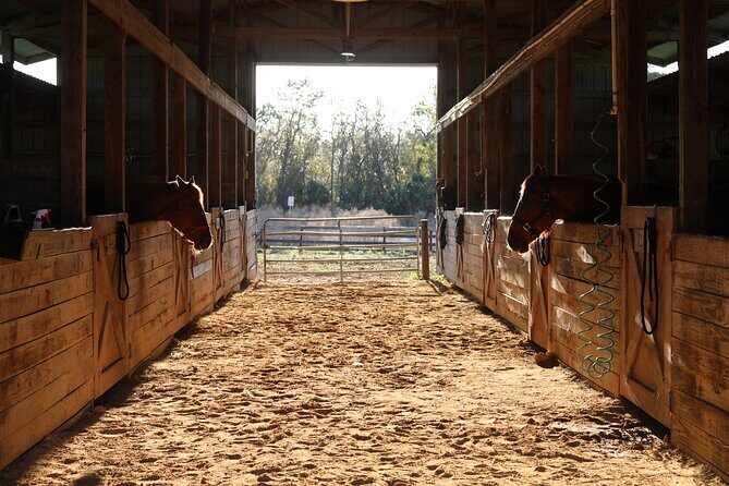 Barn Day for Little Cowboys and Cowgirls - Is It Worth It?