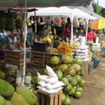 barra de navidad and plantations - Transportation and Comfort