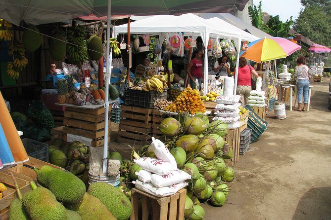 barra de navidad and plantations - Transportation and Comfort