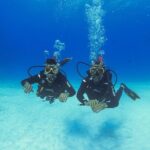Basic Diver - Bautismo - The Ocean Experience: Two Reef Dives in Playa del Carmen