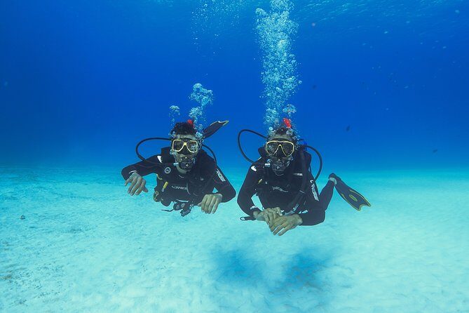 Basic Diver - Bautismo - The Ocean Experience: Two Reef Dives in Playa del Carmen