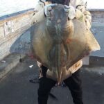 Bay Area Pier Fishing: Sturgeon, Sharks, and Stingray Hunt - Value and Practicality