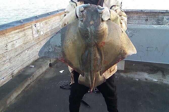 Bay Area Pier Fishing: Sturgeon, Sharks, and Stingray Hunt - Value and Practicality