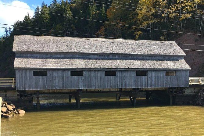 Bay of Fundy Tour by Bus - What the Reviews Say