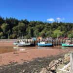 Bay of Fundy Tour by Mini Van - What to Expect on the Road