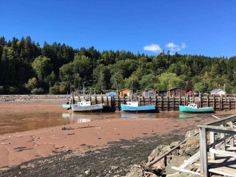 Bay of Fundy Tour by Mini Van - What to Expect on the Road