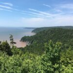 Bay of Fundy Tour in Luxury Car - Practical Details and Tips