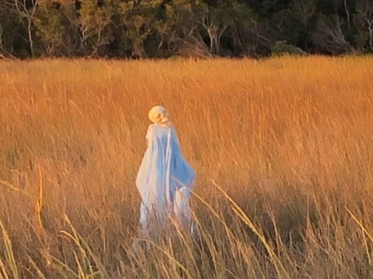 Bay Saint Louis, MS: The Haunted Bayou Cruise - The Itinerary and Experience