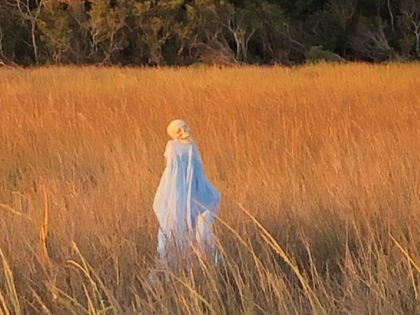 Bay Saint Louis, MS: The Haunted Bayou Cruise - The Itinerary and Experience