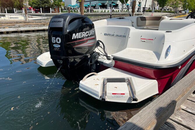 Bayliner Element 60HP Boat - An Honest Look at the Experience