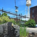 B&C Buffalo Trace and chuchill down - Who Should Consider This Tour?