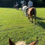 B&C horseback riding in nature and Keeneland racetrack. - An In-Depth Look at the Experience