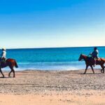 Beach and Desert Scenic Horseback Ride in Baja California Sur - What’s Included and What’s Not