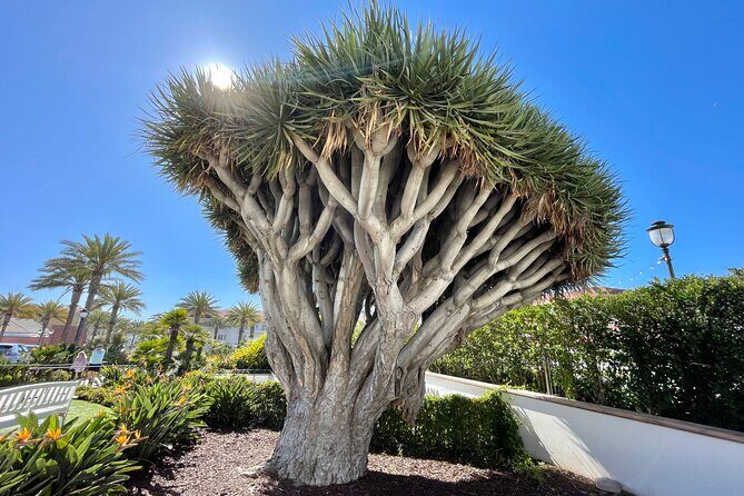 Beach and shopping Tour in San Diego (Private) - Detailed Breakdown of the Itinerary