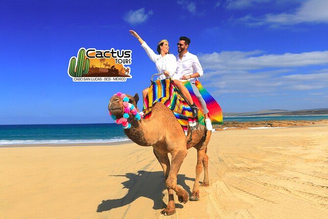 Beach Camel Ride & Encounter in Cabo - Who Will Love This Tour?
