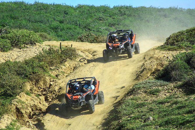 Beach & Desert Premium X3 UTV Tour in Cabo by Cactus Tours Park - The Itinerary in Detail