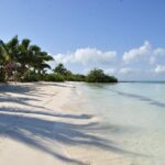 Beach Escape: Isla Contoy and Isla Mujeres with Snorkeling. - The Sum Up