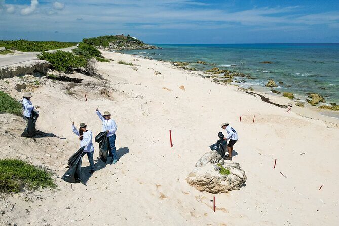 Beach Guardians Clean up & Picnic plus Otoch Mayan Experience - Why This Tour Stands Out