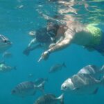 Beach Hopper, Amazing Snorkel Experience At Los Cabos! - The Value of the Experience