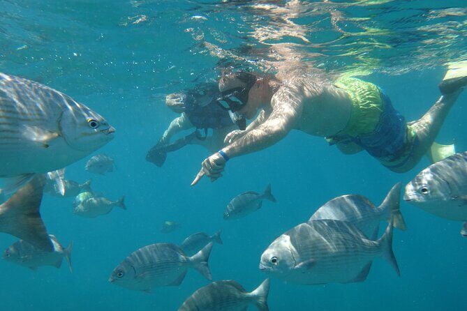 Beach Hopper, Amazing Snorkel Experience At Los Cabos! - The Value of the Experience