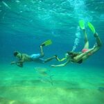 Beach Hopper Small-Group Snorkeling Tour in Los Cabos - Pricing and Value