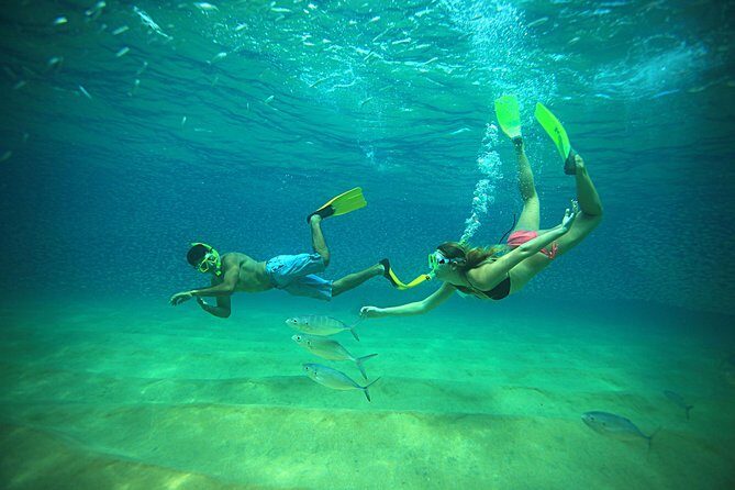 Beach Hopper Small-Group Snorkeling Tour in Los Cabos - Pricing and Value