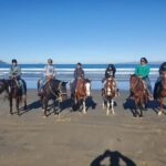 Beach Horseback Riding from the Port of Ensenada - What to Expect: The Itinerary in Detail
