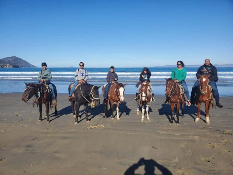 Beach Horseback Riding from the Port of Ensenada - What to Expect: The Itinerary in Detail