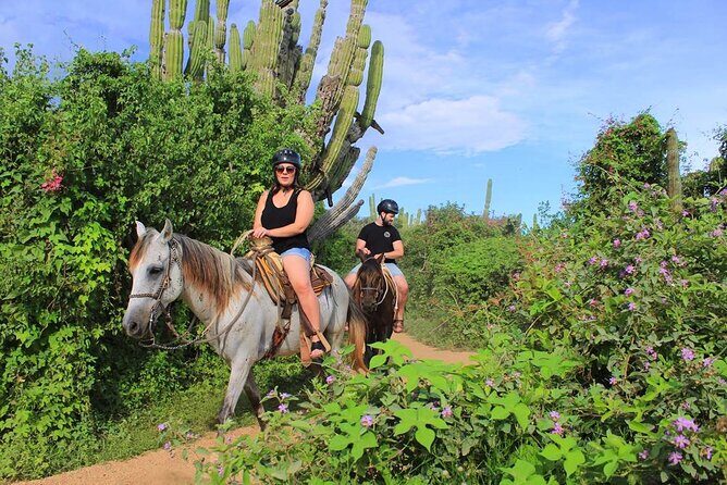 Beach Horseback Riding in Los Cabos - Who Should Consider This Tour?