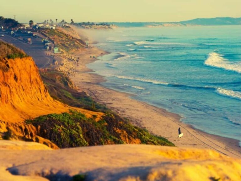 Beach Sauna Experience, Aromatherapy & Cold Plunge - The Practicalities: What You Need to Know