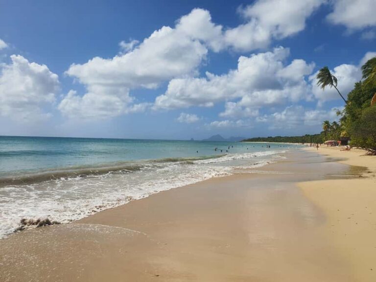 Beach tour and visit to a rum distillery in Le Marin with driver - Practical Aspects of the Tour