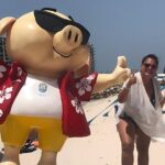 Beach Tour in Yucalpetén from Mérida - What Travelers Like About This Tour