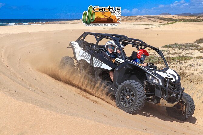 Beach UTV Adventure with Free Camel & Horseback Ride - Authentic Experiences and Traveler Feedback