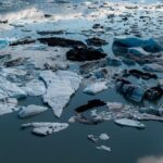 Bear Glacier Helicopter Tour with Landing - What Travelers Say: Authentic Insights