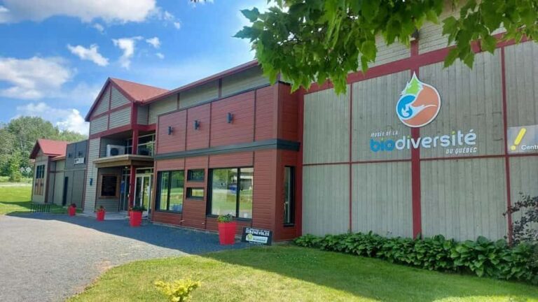 Becancour: Biodiversity Museum Visit - What’s Inside the Museum