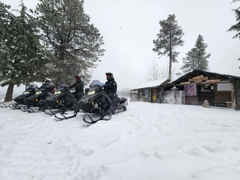 Bend: Guided Snowmobile Tours In National Volcanic Monument - The Value of This Snowmobile Tour