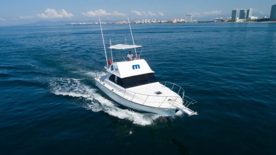 Bertram 38' Convertible Boat in Puerto & Nuevo Vallarta - Who Will Appreciate This Tour?