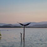 Best Birdwatching Lagoon Tour - Final Thoughts