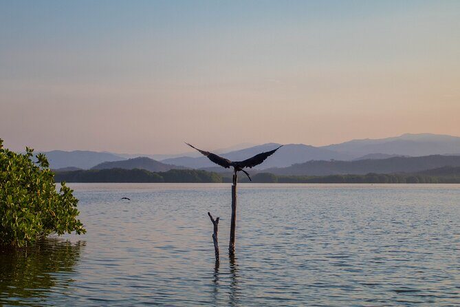 Best Birdwatching Lagoon Tour - Final Thoughts