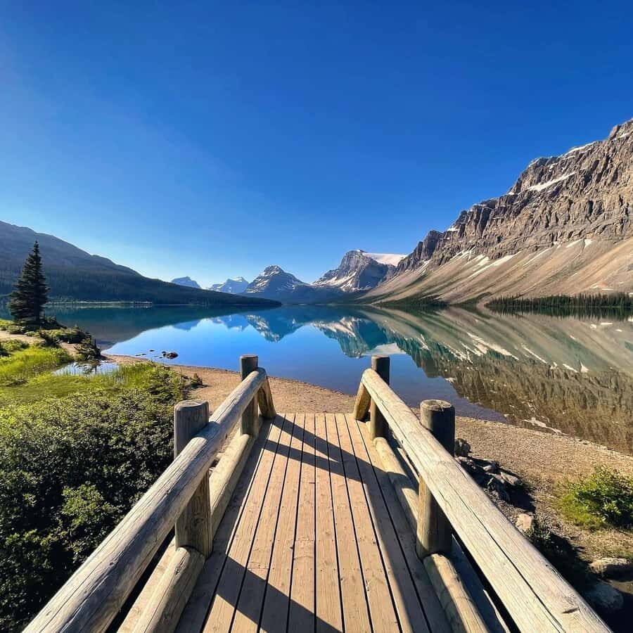 Best of Glaciers from Calgary/Canmore/Banff: Tour - Why This Tour Stands Out