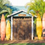 Best of Maui Tour: Sips, Sites and Bites with Lunch - Transportation and Group Size