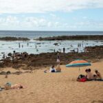 Best Of Oahu: Grand Circle Island Small Group Tour From Waikiki - What Makes This Tour Stand Out?