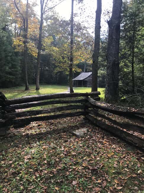 Best of the Smokies Private Half-Day Tour with Picnic Lunch - A Closer Look at the Experience