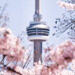 Best of Toronto City Tour with Boat Cruise & CN Tower - Value and Practicality